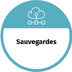 sauvegarde